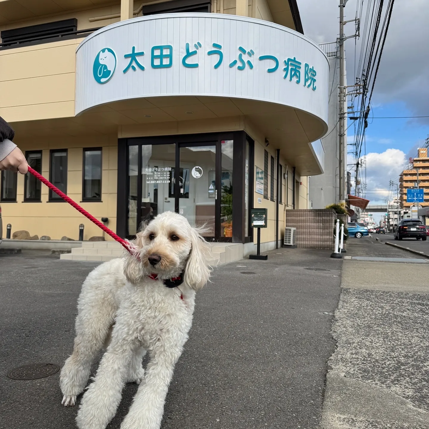 当院に研修にきていた獣医師が