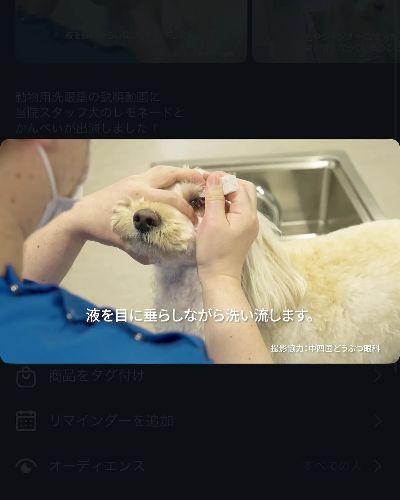 動物用洗顔薬の説明動画に