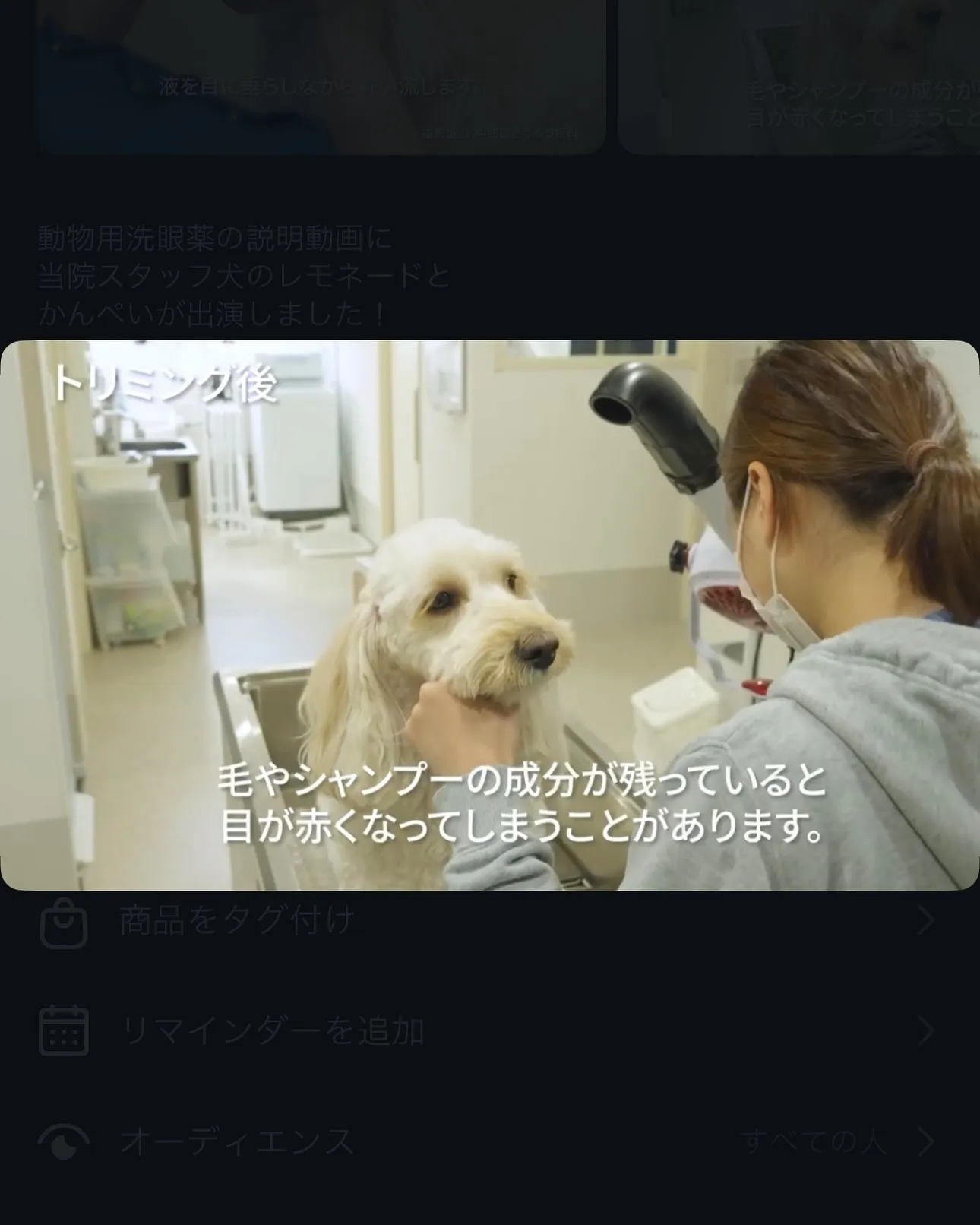 動物用洗顔薬の説明動画に