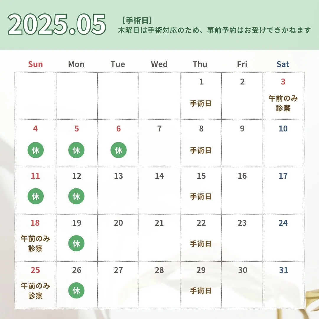 📅【2025年5月 診察スケジュールのご案内】📢