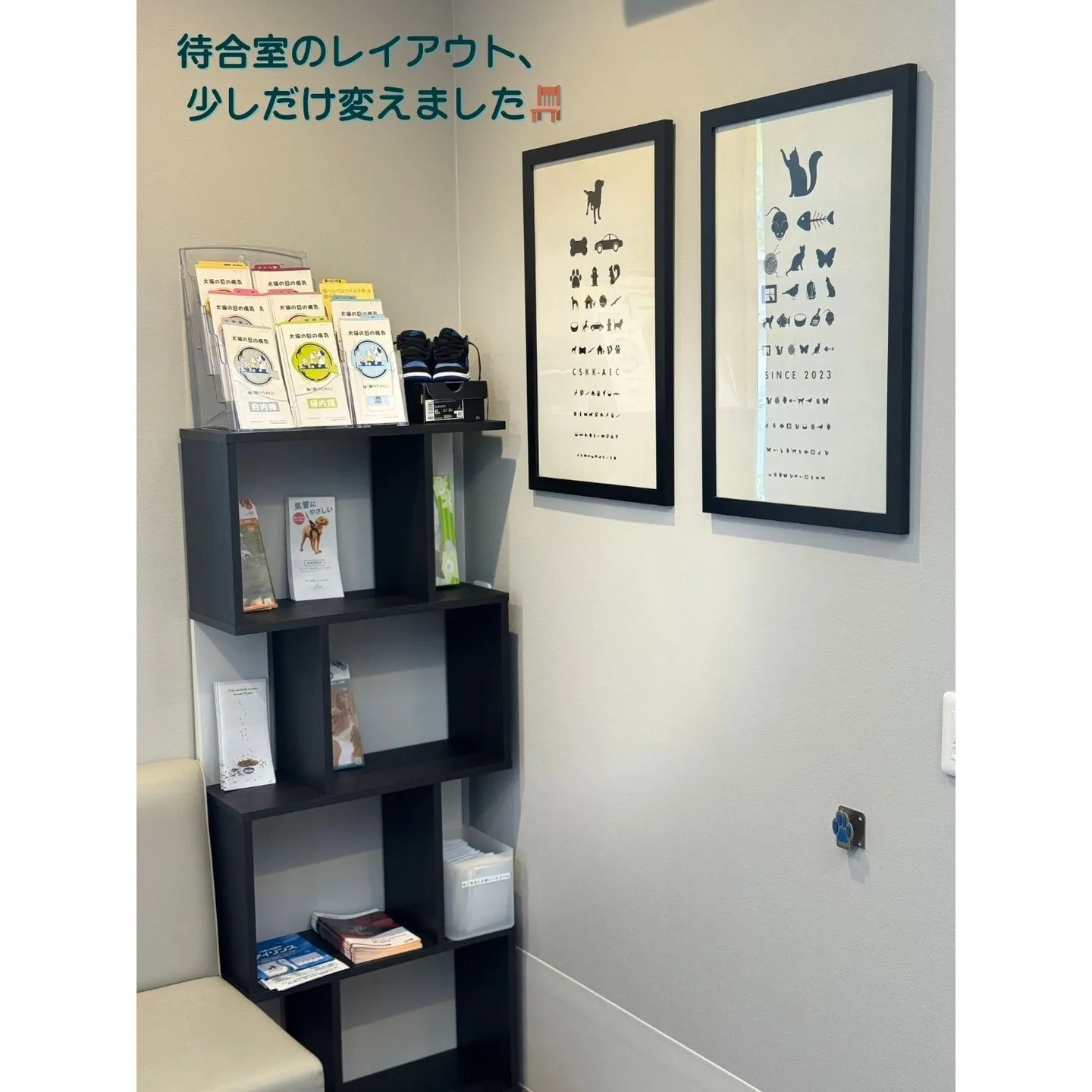 📢【休診のお知らせと、院内の少しの変化🌿】 