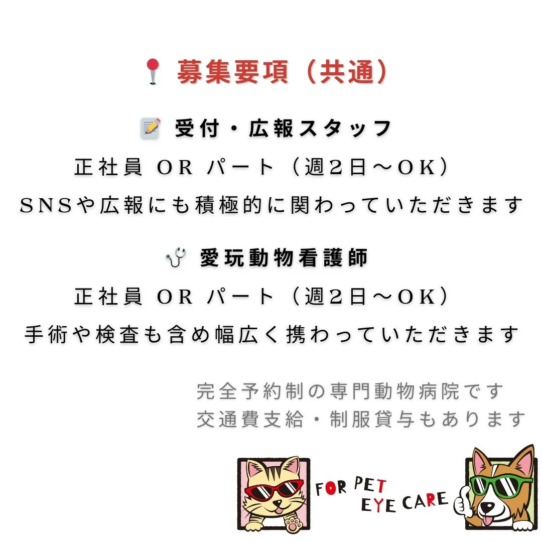 【🐾 スタッフ募集のお知らせ 🐾】