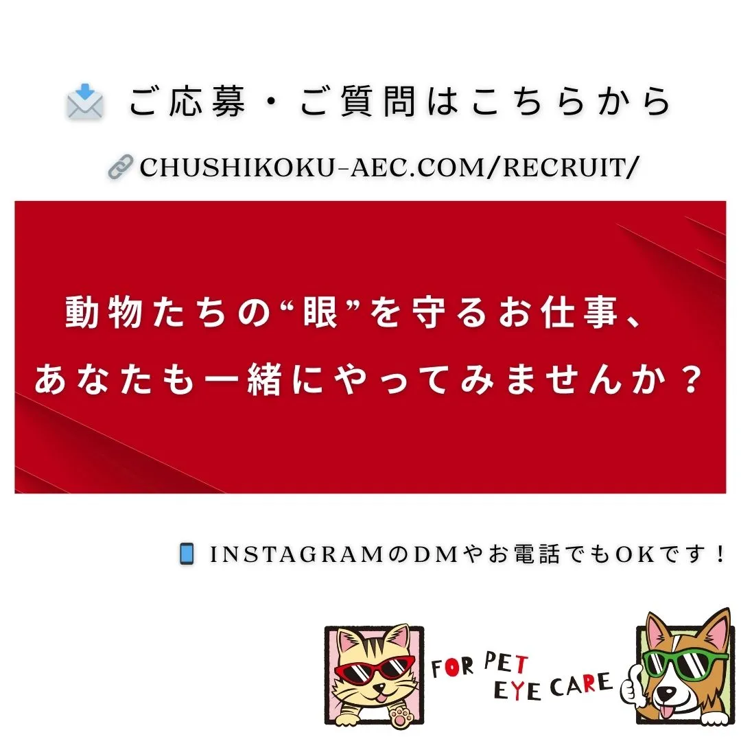 【🐾 スタッフ募集のお知らせ 🐾】