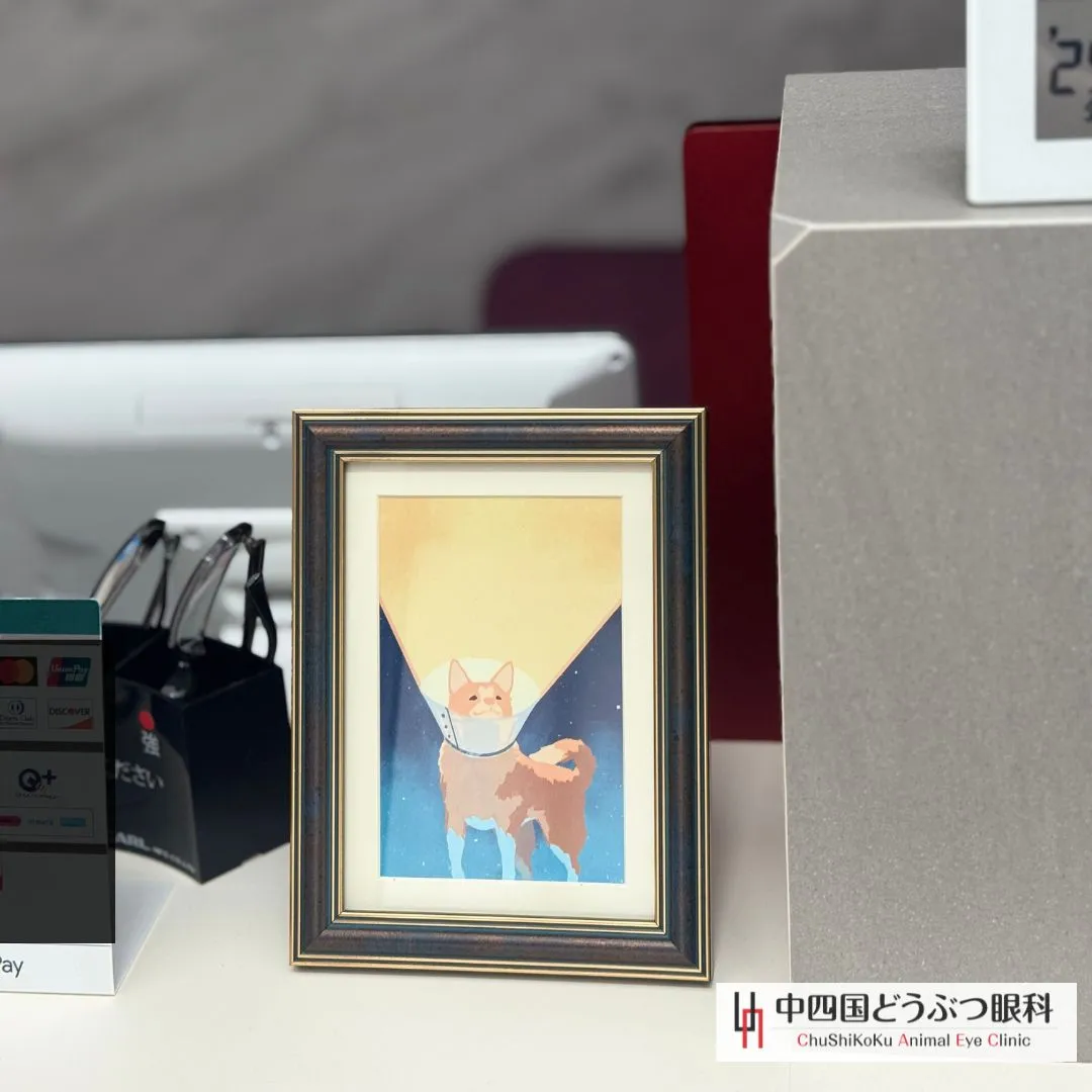 🔍 今日は手術日でした。