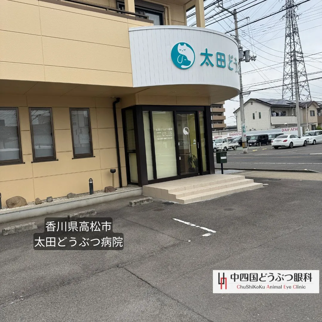 📍香川県高松市