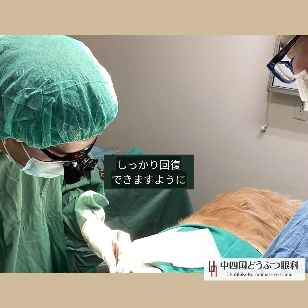 📍香川県高松市