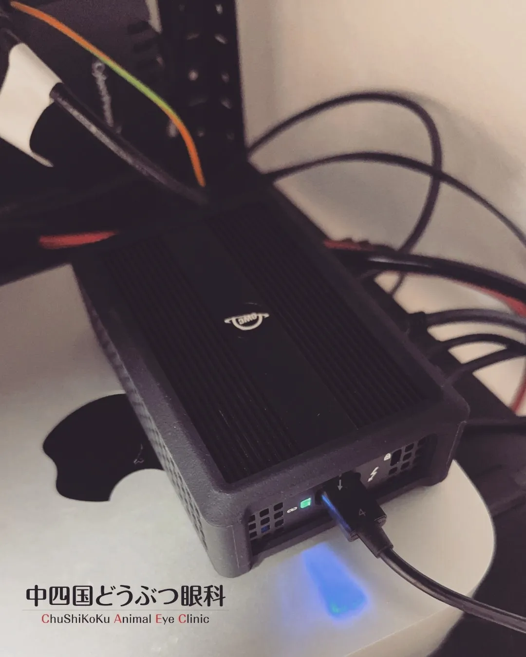 📡【ネットワーク工事、完了のお知らせ】