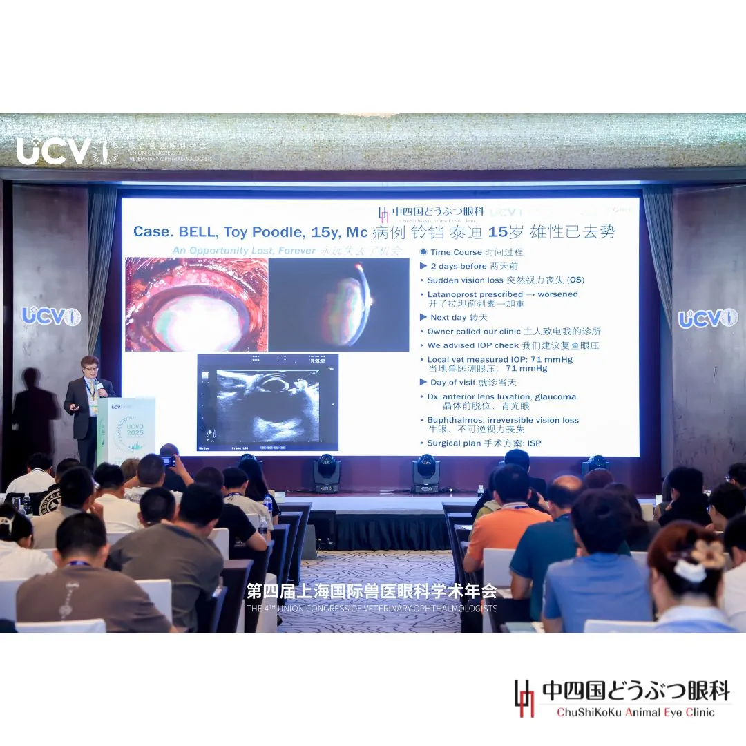 伊藤良樹院長と幸枝先生は、上海で開催された「第4回国際獣医眼...