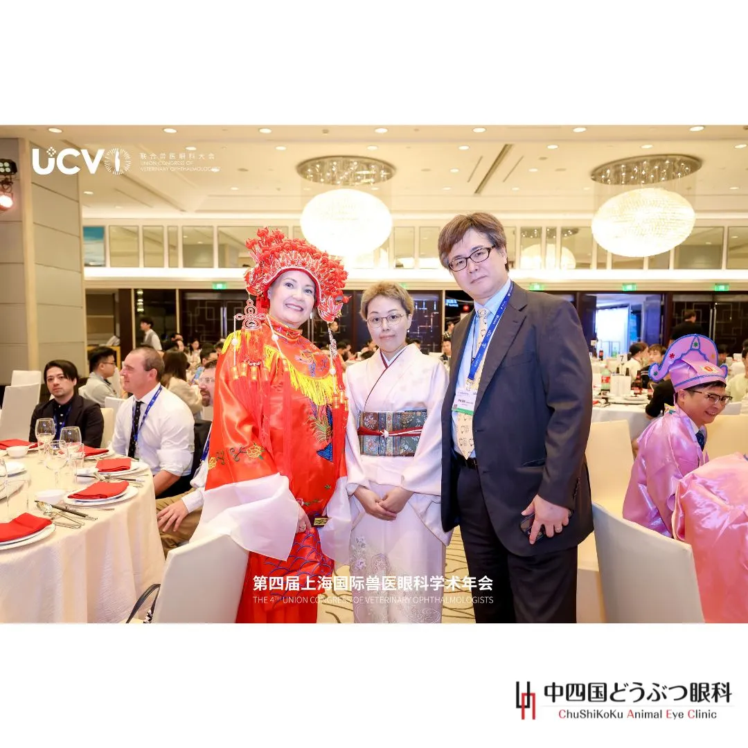 伊藤良樹院長と幸枝先生は、上海で開催された「第4回国際獣医眼...