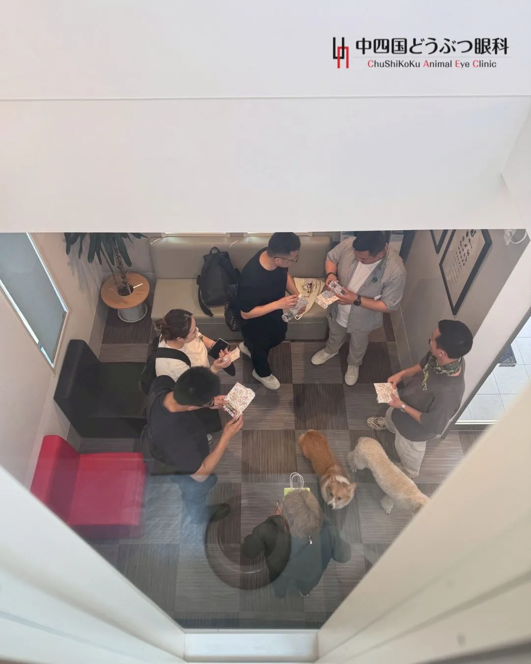 今日は中国から先生方が病院見学に来てくれました〜!✈️🐾