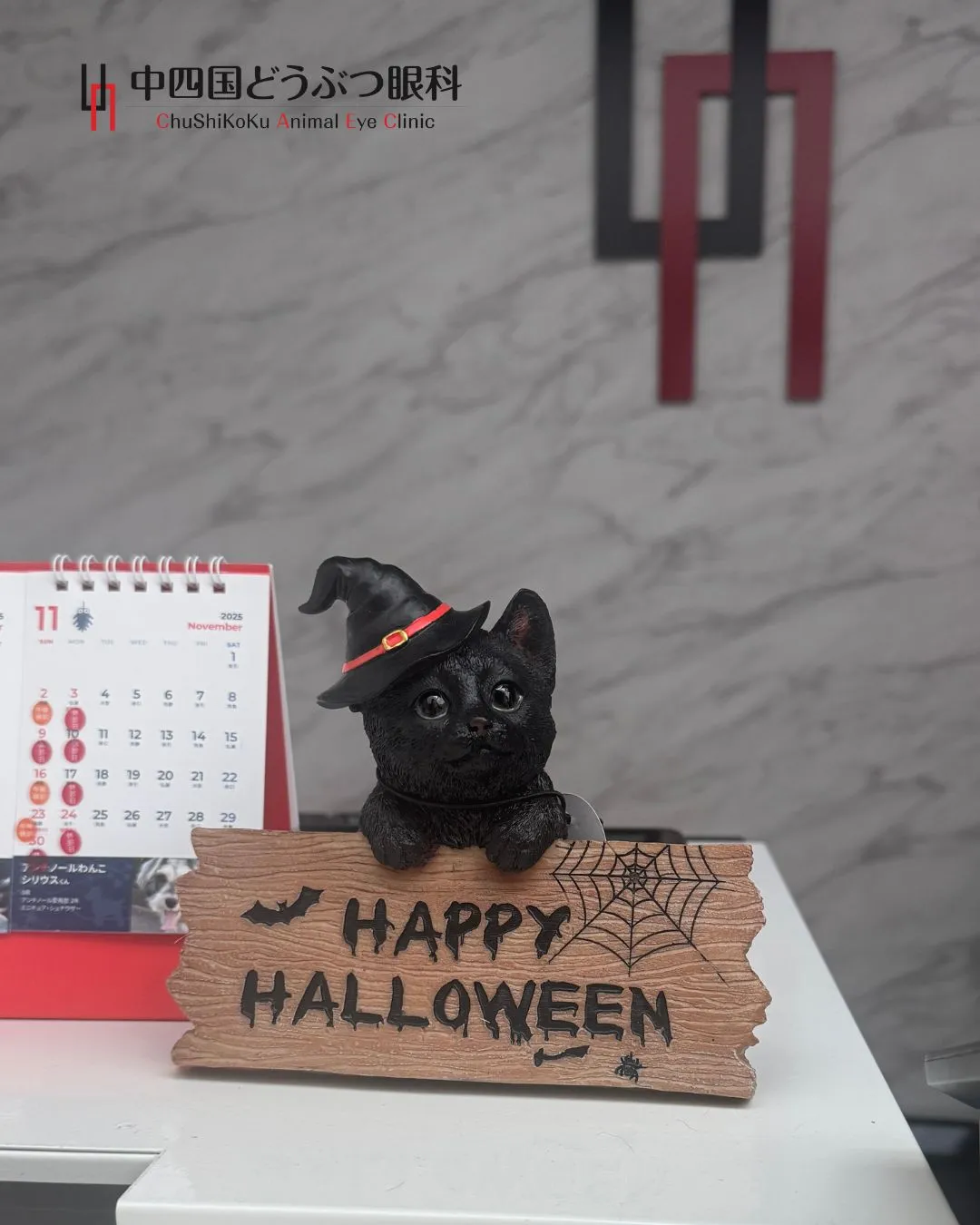 🍂 Autumn & Halloween at ChuShi...