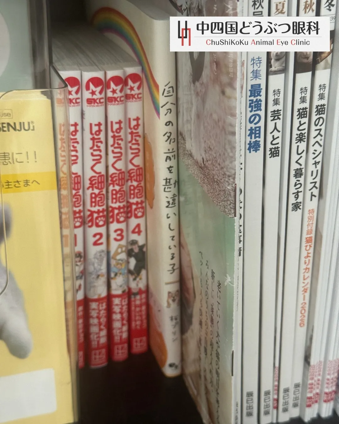 本日は珍しく、待合の雑誌コーナーのご紹介です。