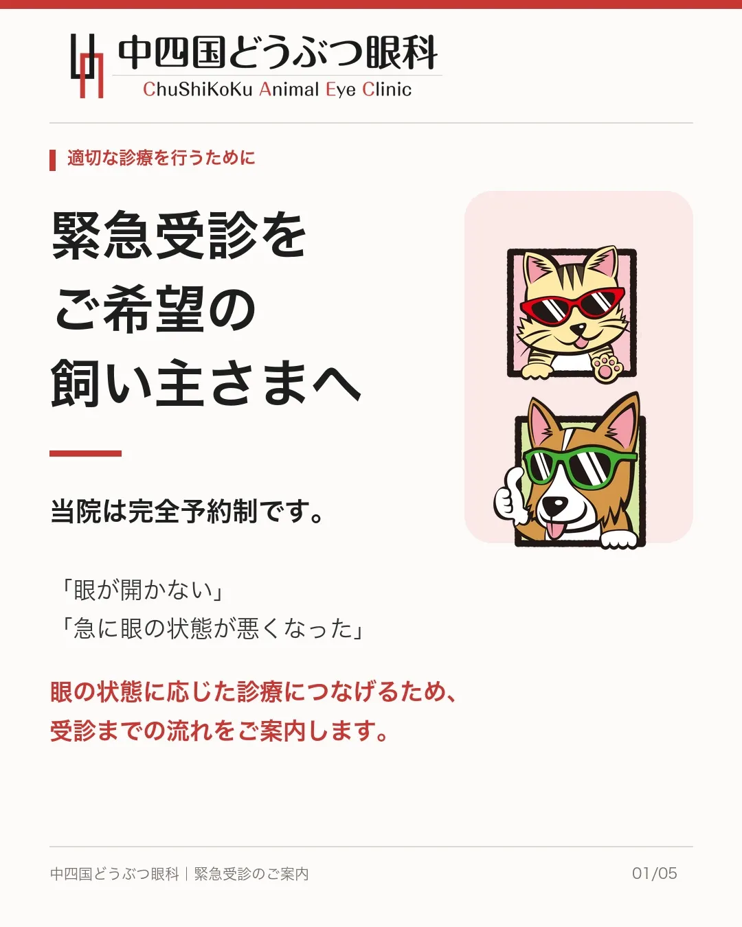 【緊急受診をご希望の飼い主さまへ】