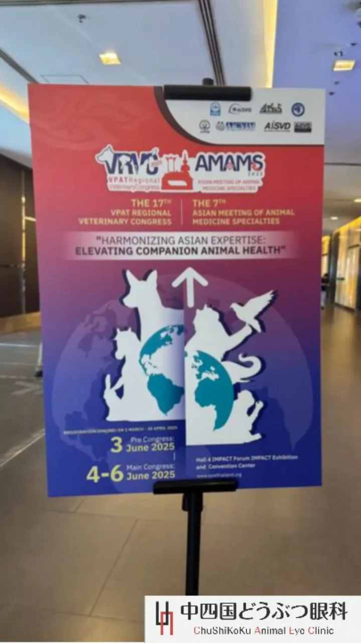 【休診のお知らせ📢】